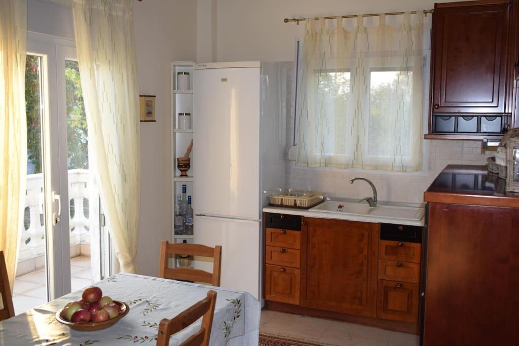 Chrysi Deppy'S House Κοντά Στα Λουτρά Πόζαρ 아파트 외부 사진